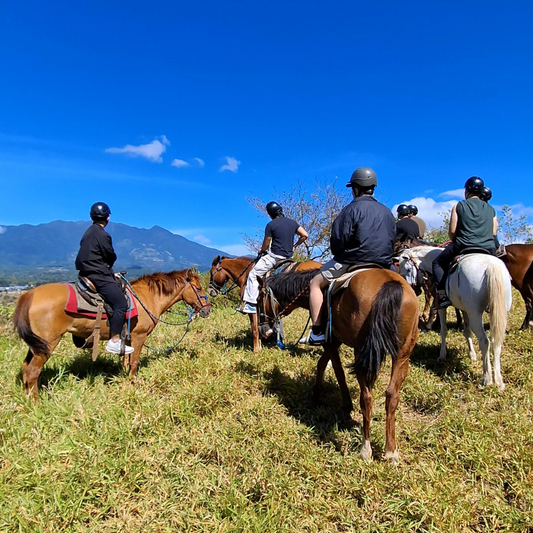 TOUR A CABALLO 2 HORAS + GRANJA DE CONTACTO