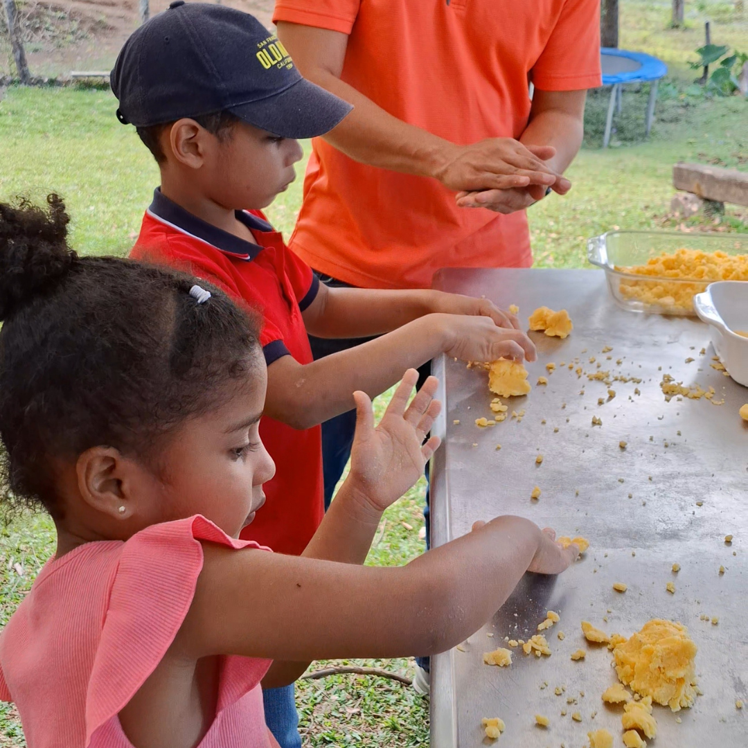 EXPERIENCIA DEL MAÍZ