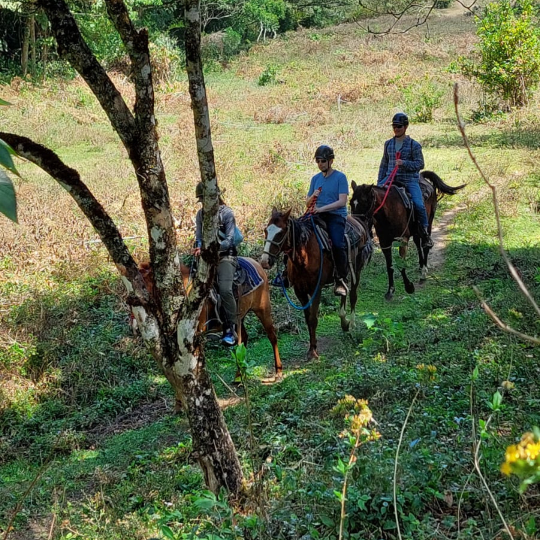 TOUR A CABALLO 1 HORA + GRANJA DE CONTACTO