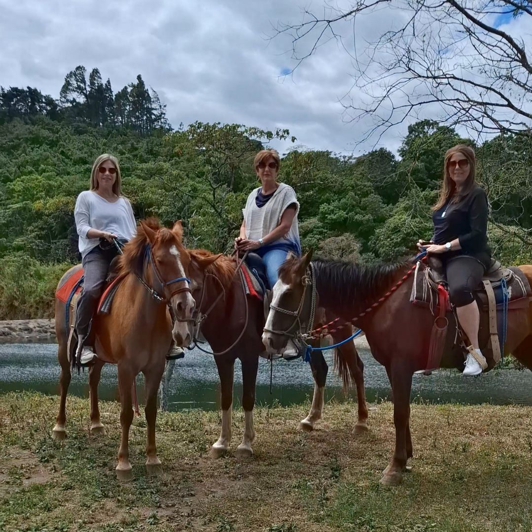 TOUR A CABALLO MEDIA HORA + GRANJA DE CONTACTO