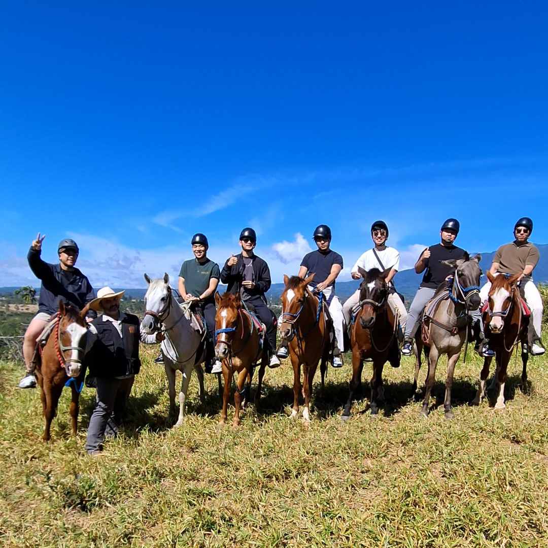 2-HOUR HORSEBACK TOUR + CONTACT FARM