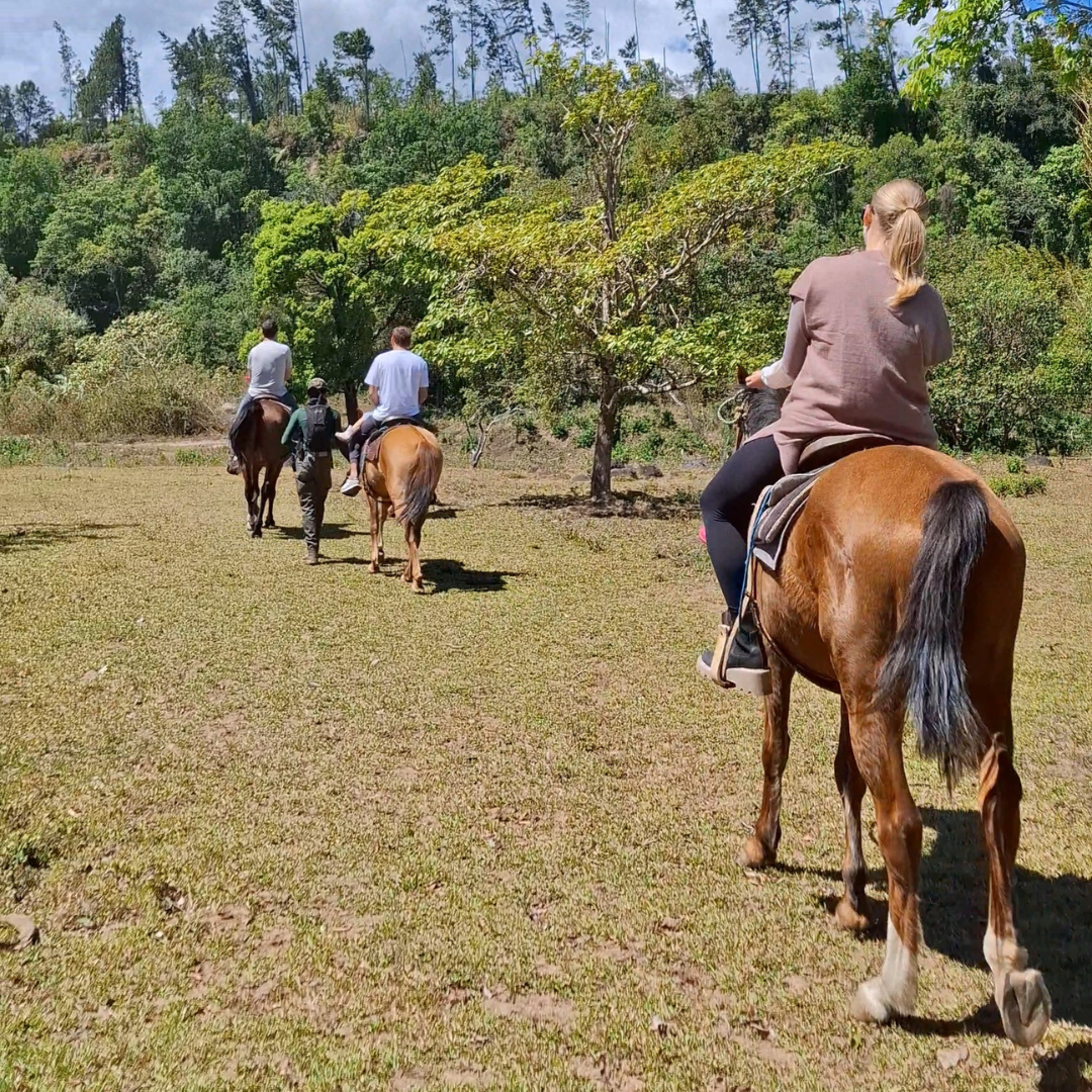 TOUR A CABALLO MEDIA HORA + GRANJA DE CONTACTO