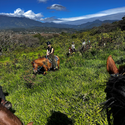 2-HOUR HORSEBACK TOUR + CONTACT FARM