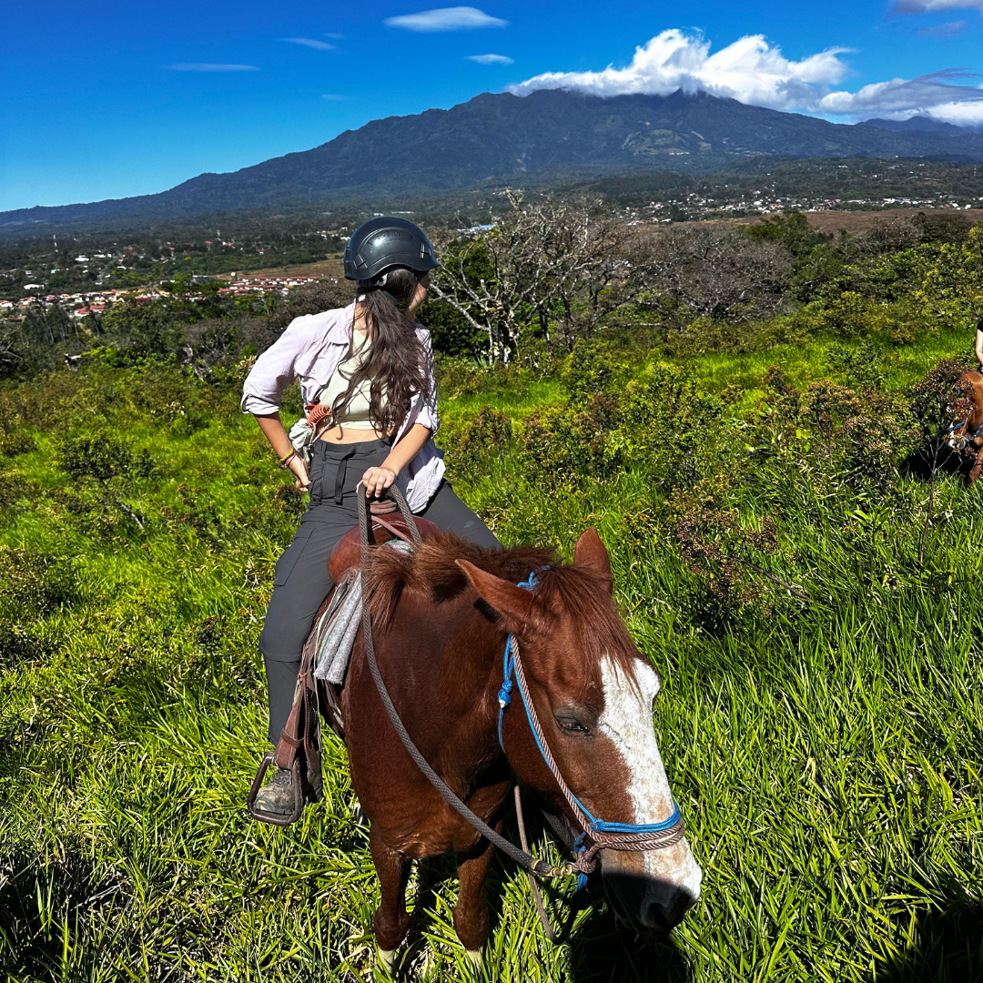 2-HOUR HORSEBACK TOUR + CONTACT FARM