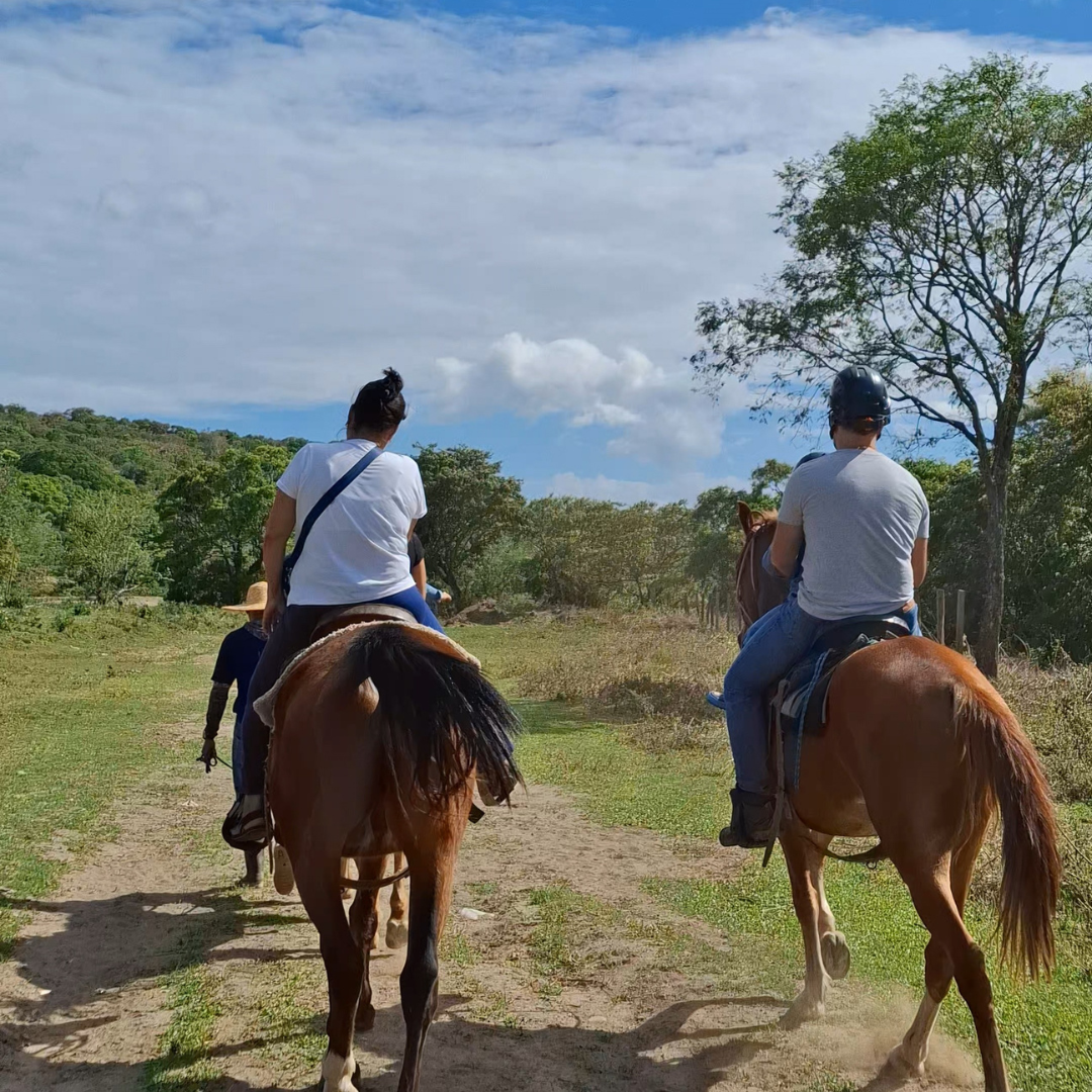 TOUR A CABALLO MEDIA HORA + GRANJA DE CONTACTO