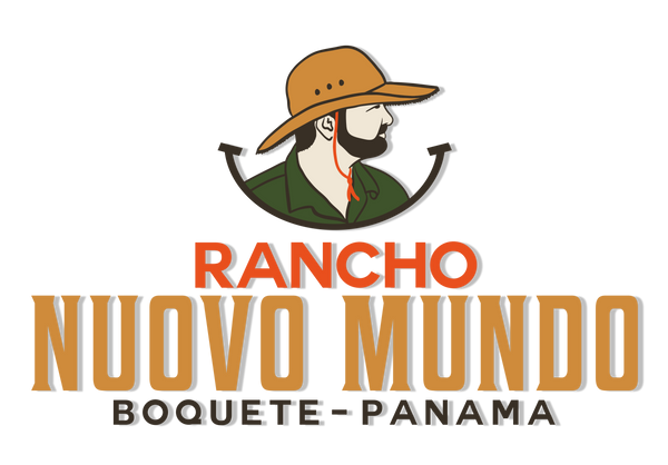 Mi tienda